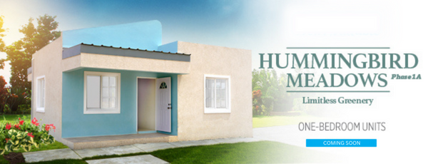 Hummingbird Meadows Banner